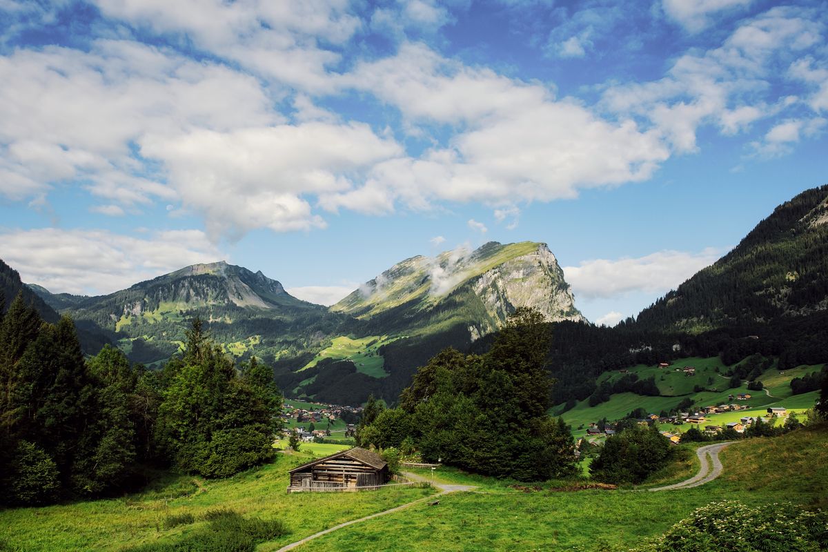 Sommerwiesen am Holdamoos mit Blick auf die Kanisfluh und das Tal von Mellau